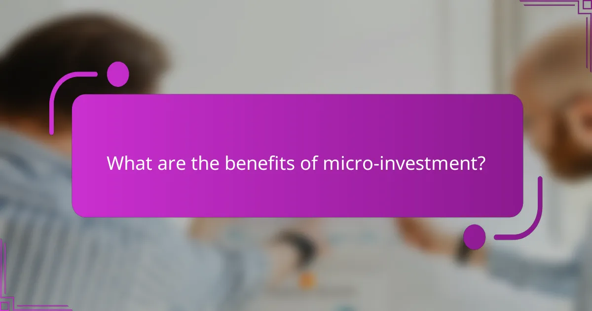 What are the benefits of micro-investment?