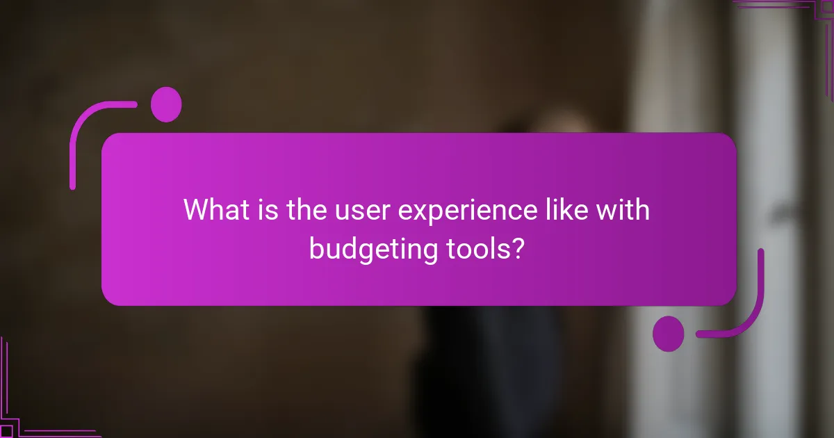 What is the user experience like with budgeting tools?