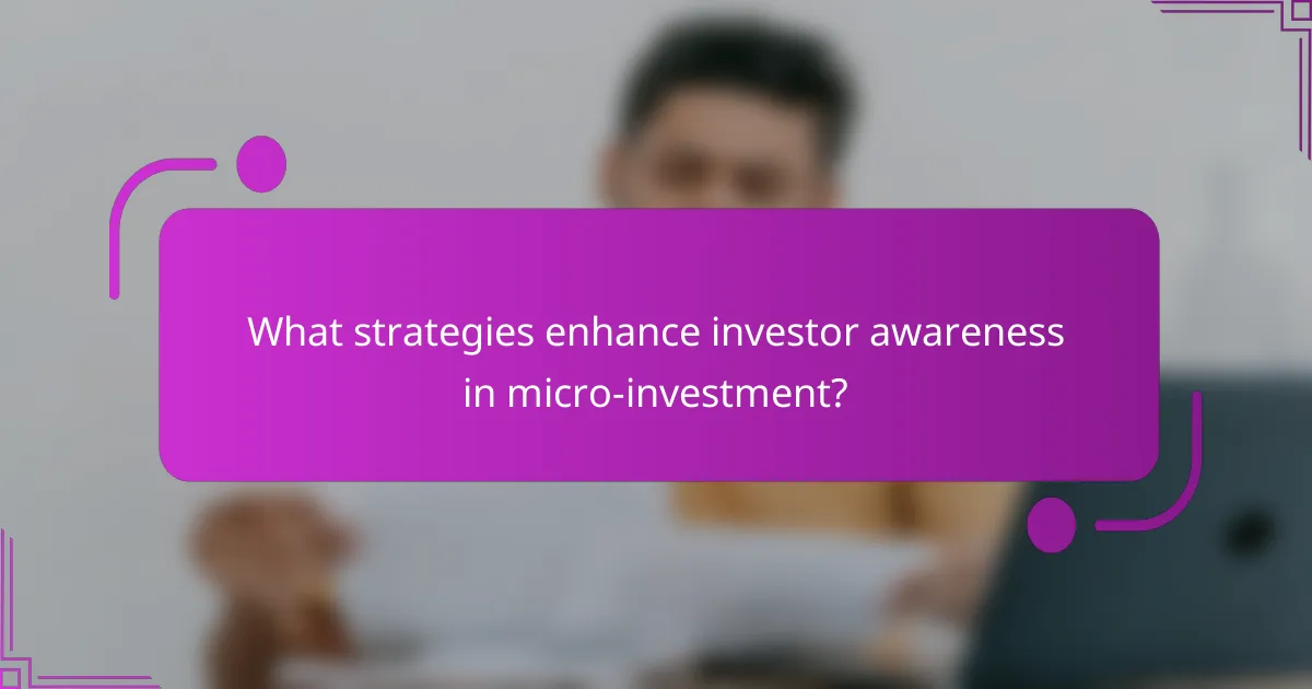 What strategies enhance investor awareness in micro-investment?